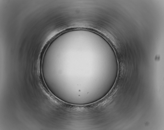 X0000097300982200802291810