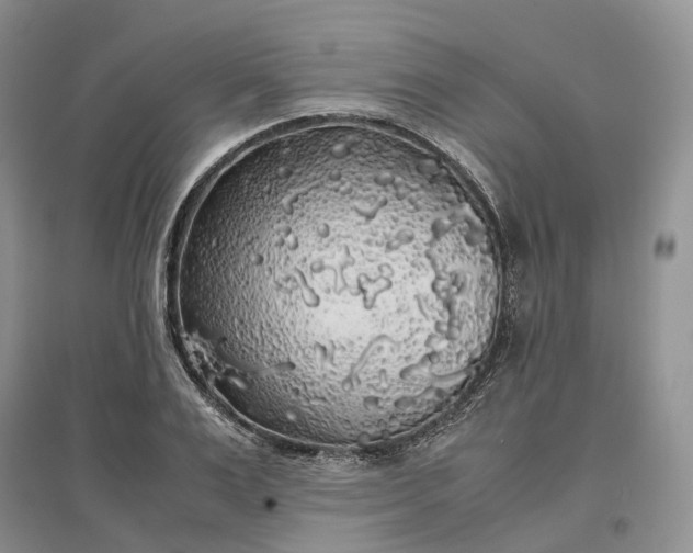 X0000097300983200802291810