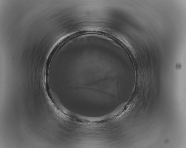 X0000097300984200802291810