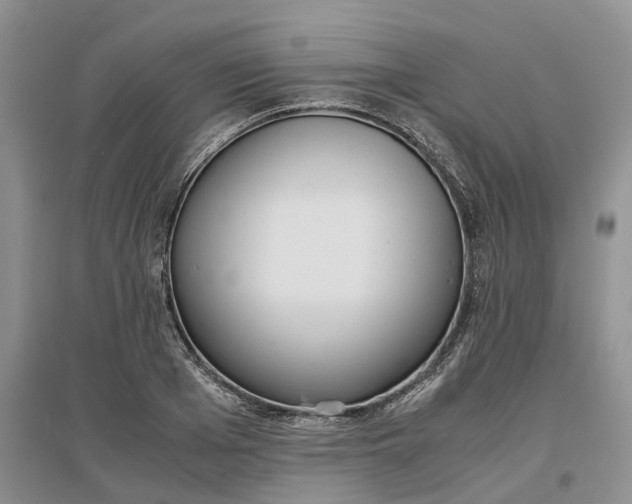 X0000097300985200802291810