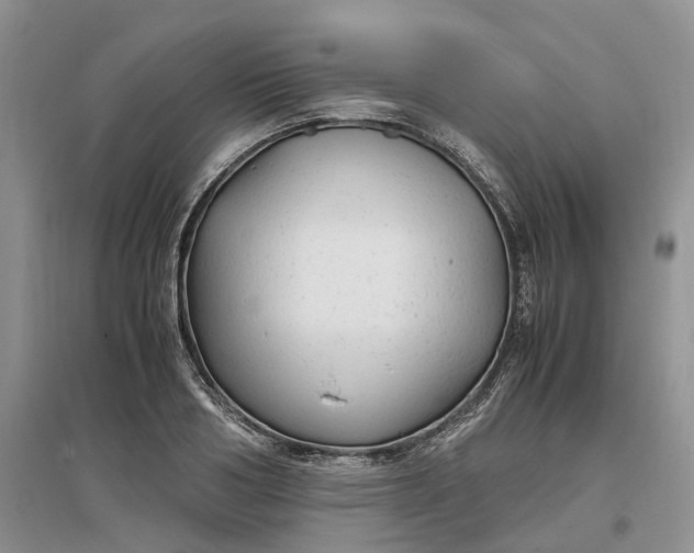 X0000097300986200802291810