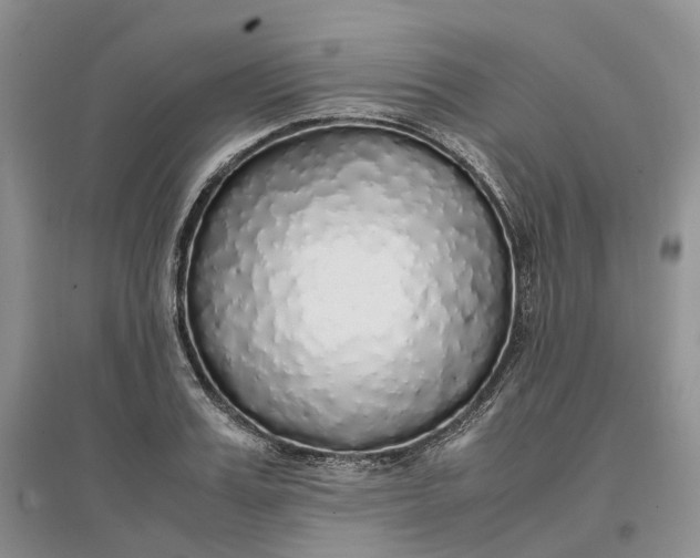 X0000097300987200802291810