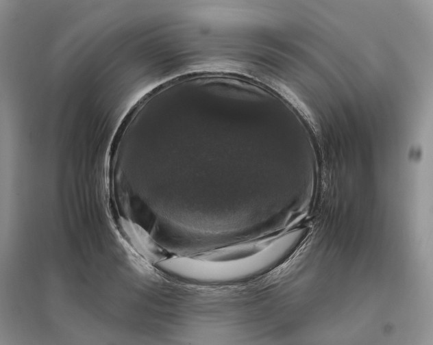 X0000097300988200802291810