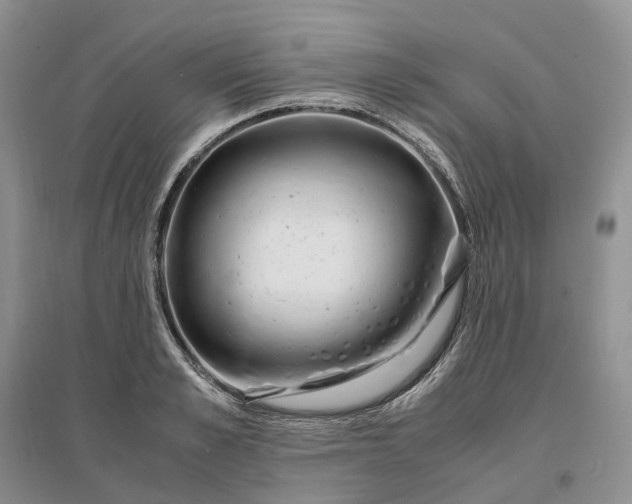 X0000097300989200802291810