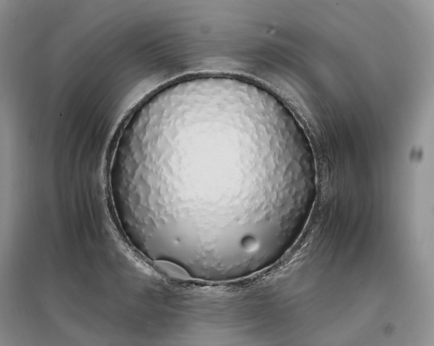 X0000097300990200802291810