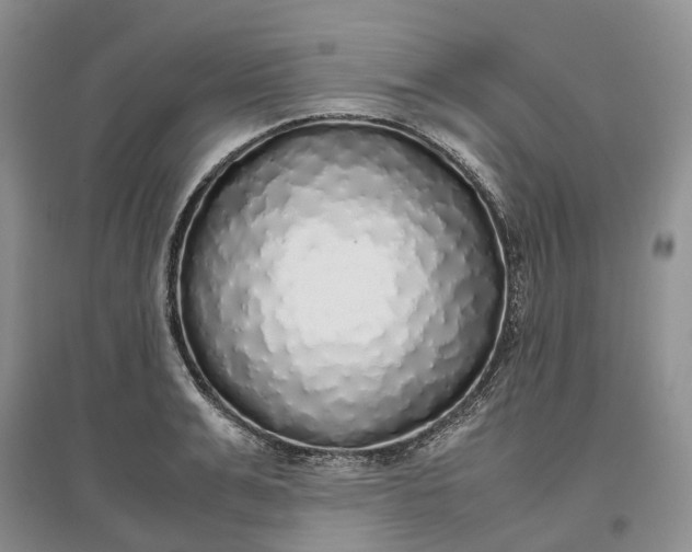 X0000097300991200802291809