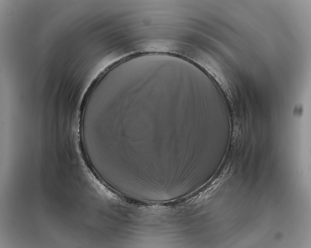 X0000097300992200802291809