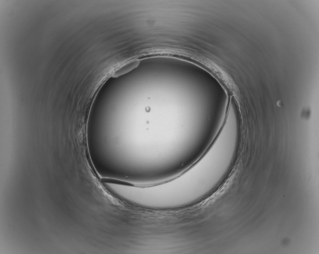 X0000097300993200802291809