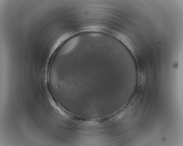 X0000097300994200802291809