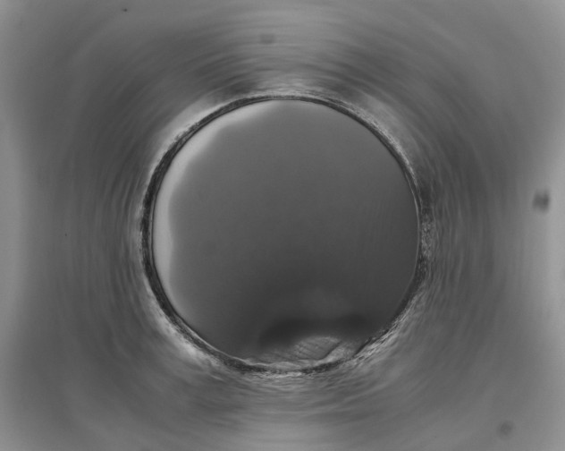 X0000097300995200802291809