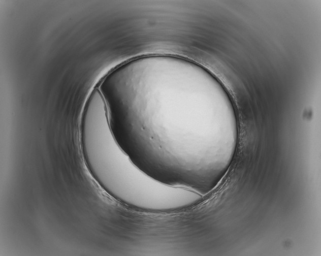 X0000097300996200802291809