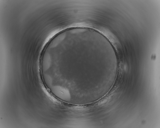 X0000097300998200802291809