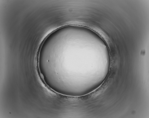 X0000097300999200802291809