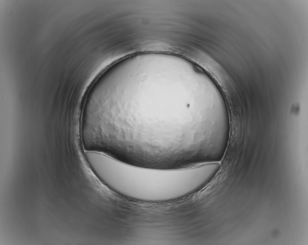 X0000097301000200802291809