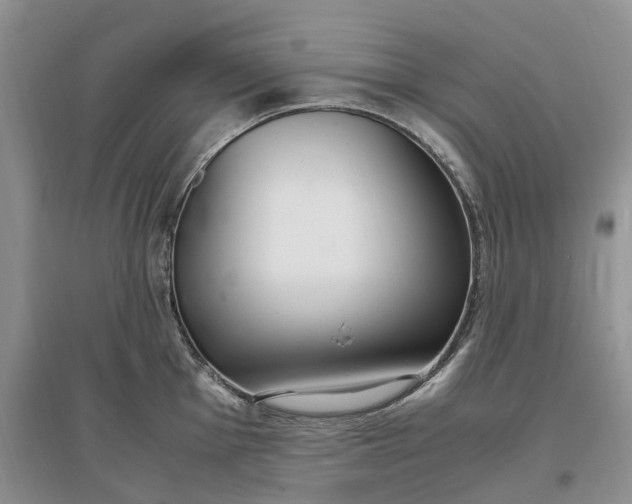 X0000097301001200802291809