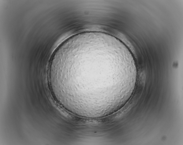 X0000097301002200802291809