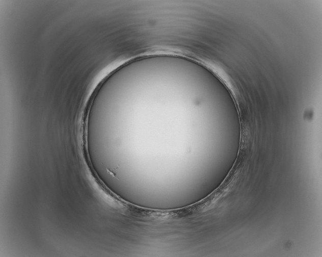 X0000097301003200802291809