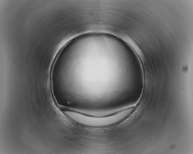 X0000097301004200802291809