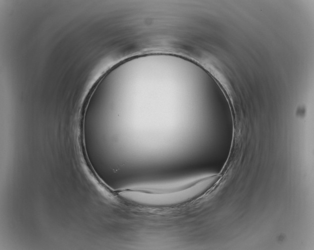 X0000097301005200802291809