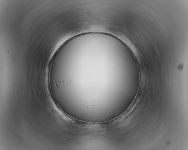 X0000097301006200802291809