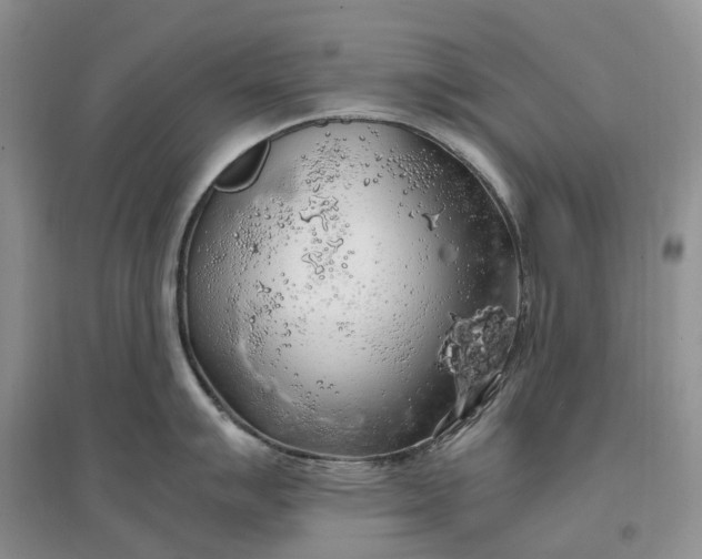 X0000097301007200802291809