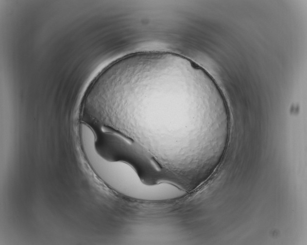 X0000097301008200802291809