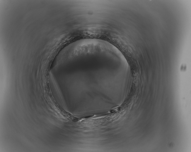 X0000097301009200802291808