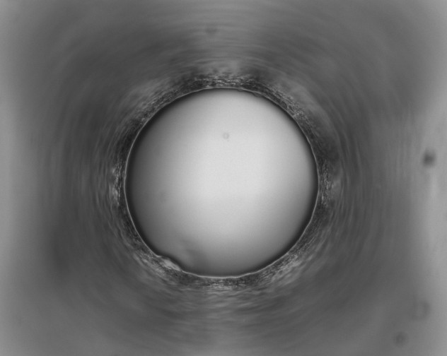 X0000097301010200802291809