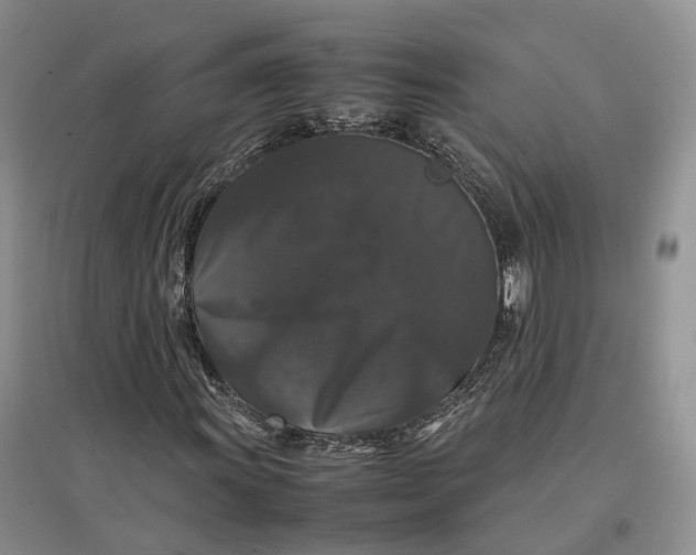 X0000097301011200802291809