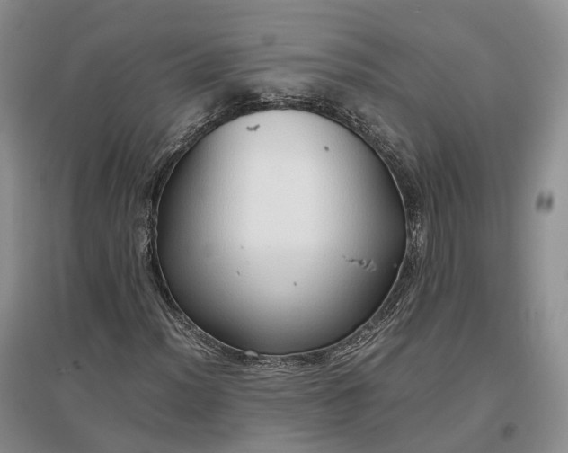 X0000097301012200802291809