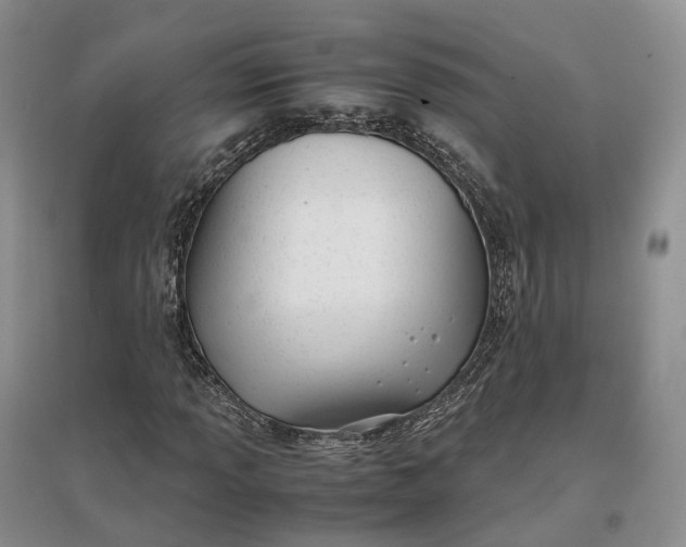 X0000097301013200802291809