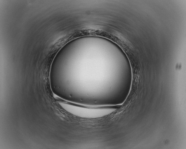 X0000097301014200802291809