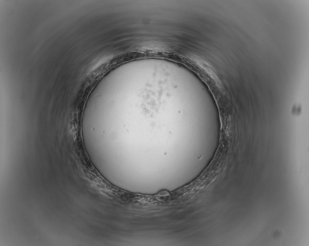 X0000097301015200802291809