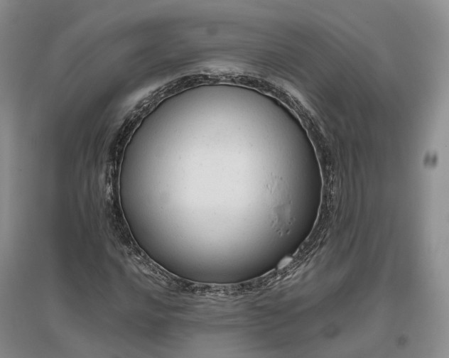 X0000097301016200802291809