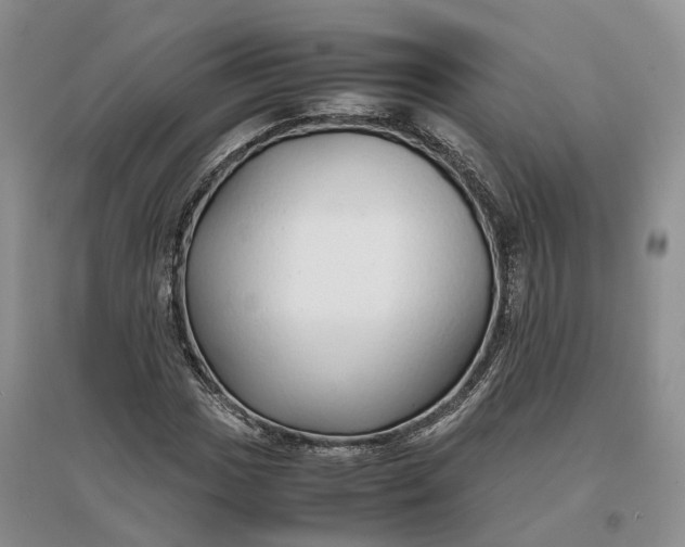 X0000097301017200802291809