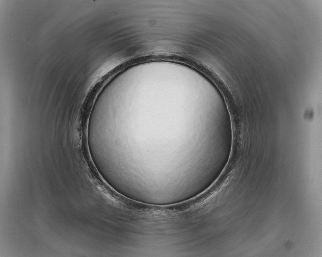 X0000097301018200802291809