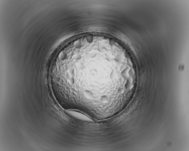 X0000097301019200802291809