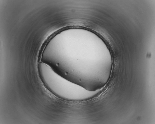 X0000097301020200802291809