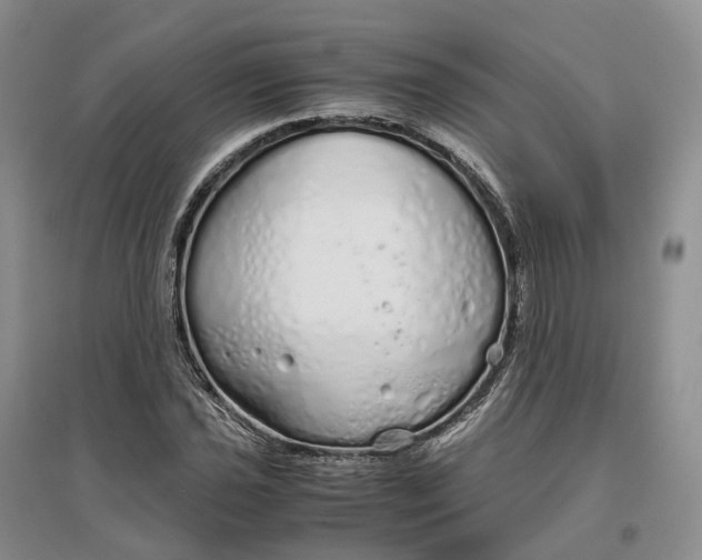 X0000097301021200802291809