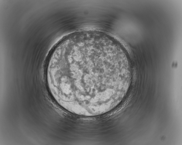 X0000097301023200802291809