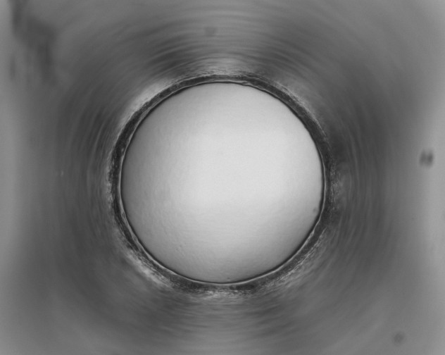 X0000097301026200802291809