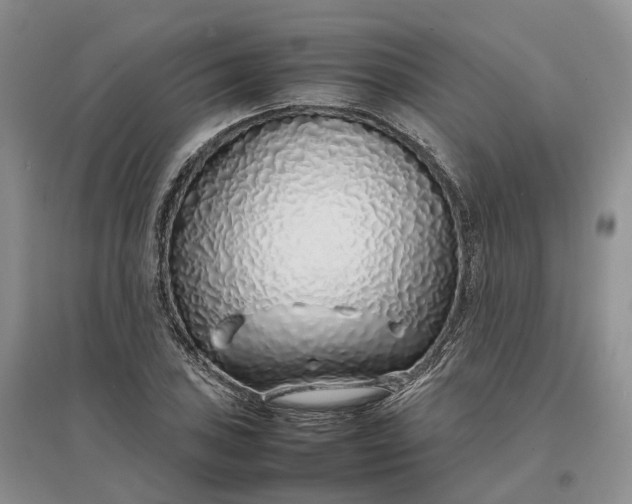 X0000097301027200802291809