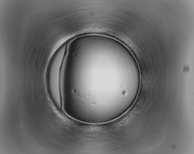 X0000097301030200802291809