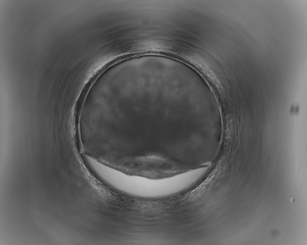 X0000097301031200802291809