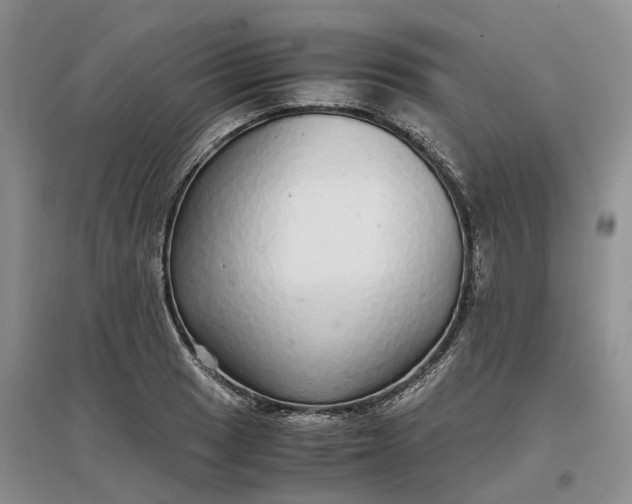 X0000097301033200802291809