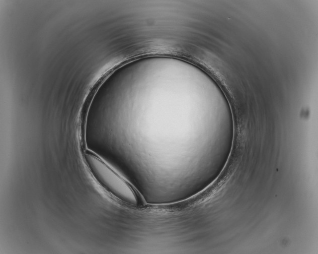 X0000097301034200802291809