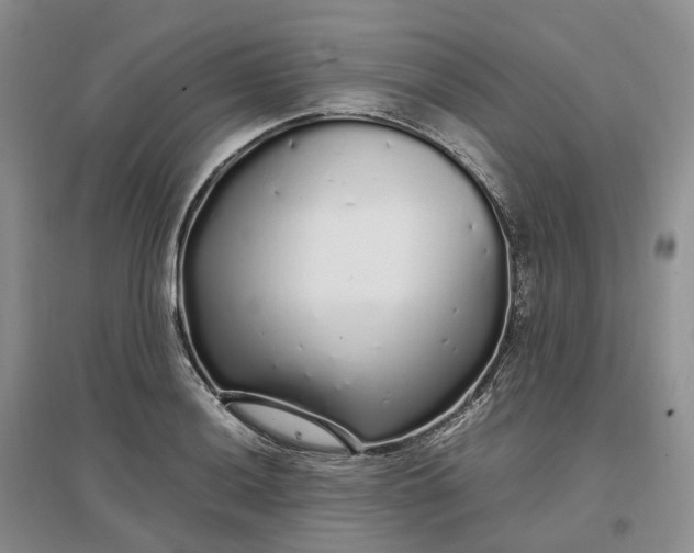 X0000097301036200802291809