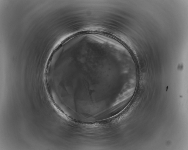 X0000097301037200802291809