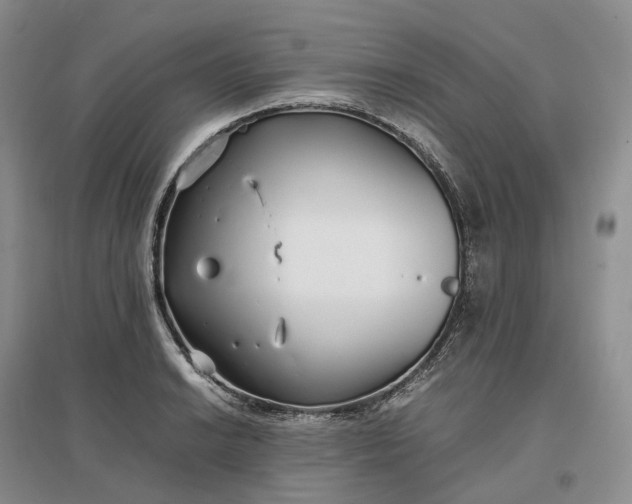 X0000097301038200802291809