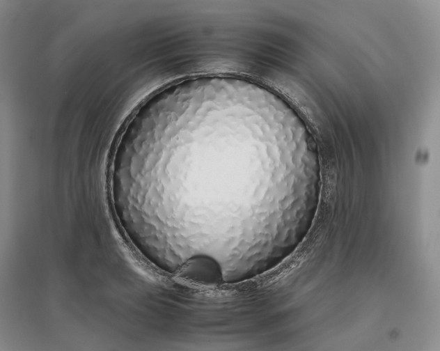 X0000097301039200802291809